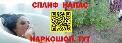 шишки Краснодар