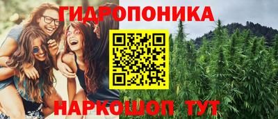 шишки Краснодар