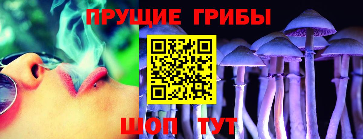 наркотики  Галлюциногенные грибы GOLDEN TEACHER  Вход с VPN  Киселёвск 